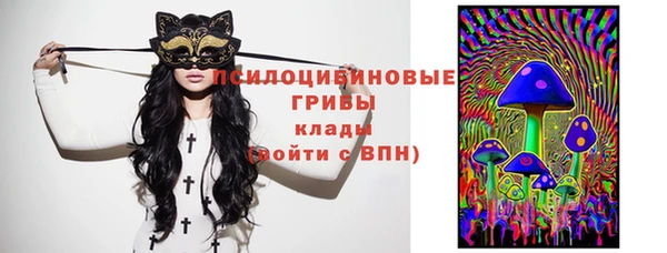 дурь Балахна
