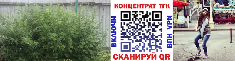 Дистиллят ТГК THC oil  магазин продажи наркотиков  Воронеж 